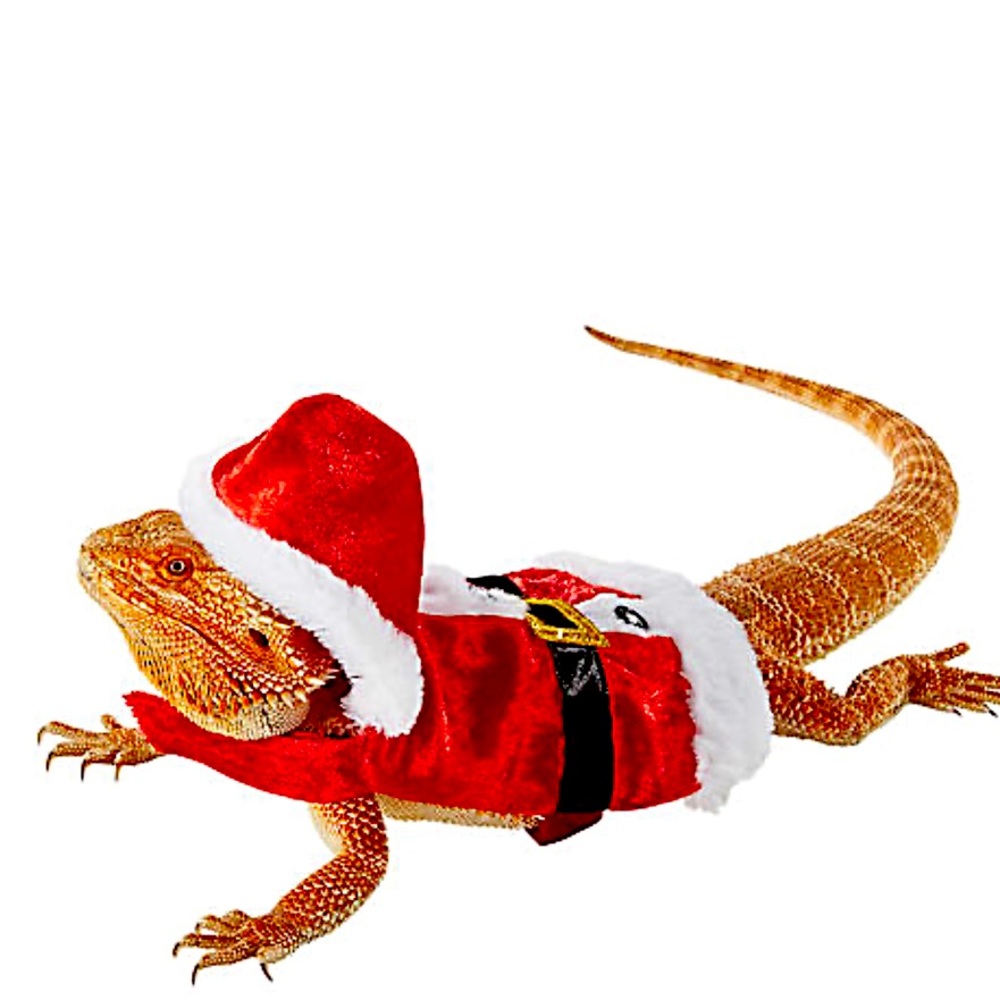 🆕 Merry & Bright™ Reptile Santa Costume